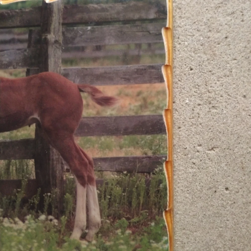 Retro Western Horse Wall Decor